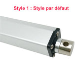 Vérin Electrique 200kg 2000N - Actionneur Linéaire 100MM pour Domotique (Modèle 0041502)