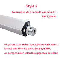 Vérin Electrique 200kg 2000N - Actionneur Linéaire 100MM pour Domotique (Modèle 0041502)