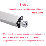 Vérin Electrique 200kg 2000N - Actionneur Linéaire 100MM pour Domotique (Modèle 0041502)