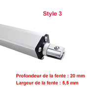Vérin Electrique 200kg 2000N - Actionneur Linéaire 100MM pour Domotique (Modèle 0041502)