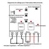 Vérin électrique course 200MM avec interrupteur magnétique reed  à course réglable (Modèle 0041503-4)