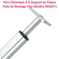 Vérin Electrique 200kg 2000N - Actionneur Linéaire 100MM pour Domotique (Modèle 0041502)