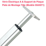 Vérin Electrique 200kg 2000N - Actionneur Linéaire 100MM pour Domotique (Modèle 0041502)
